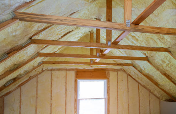 Best Insulation Maintenance and Repair in Midway North, TX