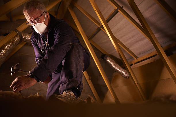 Best Eco-Friendly Insulation in Midway North, TX